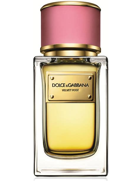 dolce gabbana profumi dona